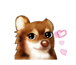 -Chihuahuas-ver.5 sticker #9900430