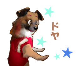 -Chihuahuas-ver.5 sticker #9900431