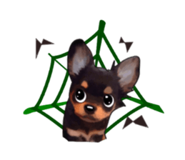 -Chihuahuas-ver.5 sticker #9900434