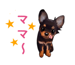 -Chihuahuas-ver.5 sticker #9900435