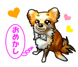 -Chihuahuas-ver.5 sticker #9900436