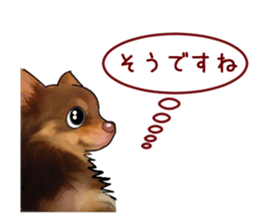 -Chihuahuas-ver.5 sticker #9900439