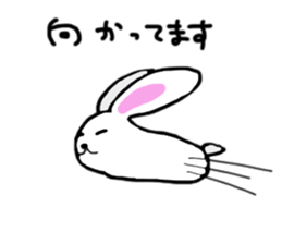 Tennis rabbit sticker #9900598