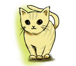 Useful cats sticker #9901073