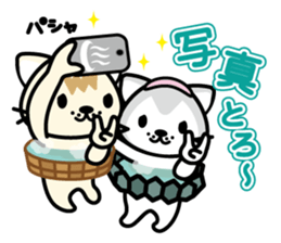 onset cat--graduation sticker #9902764