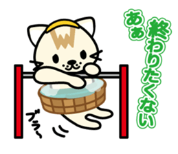 onset cat--graduation sticker #9902793