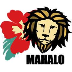 I love Hawaii!Aloha LION