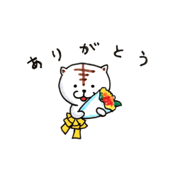 tabby white day and more