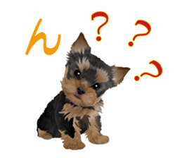 I love! Yorkshire terrier  Vol.1 sticker #9908481