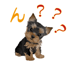 I love! Yorkshire terrier Vol.1 sticker #9908481