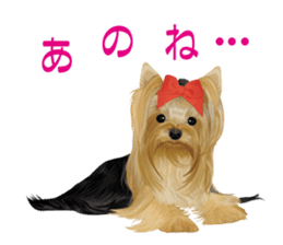I love! Yorkshire terrier Vol.1 sticker #9908484