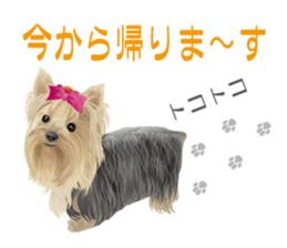 I love! Yorkshire terrier  Vol.1 sticker #9908486