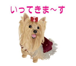 I love! Yorkshire terrier  Vol.1 sticker #9908490