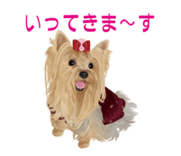 I love! Yorkshire terrier Vol.1 sticker #9908490