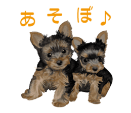 I love! Yorkshire terrier Vol.1 sticker #9908492