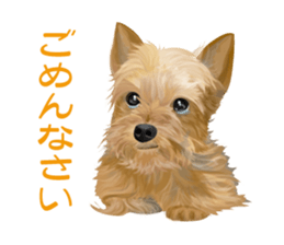 I love! Yorkshire terrier  Vol.1 sticker #9908494