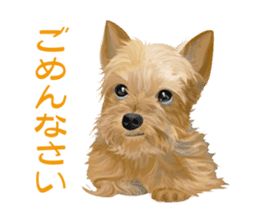 I love! Yorkshire terrier Vol.1 sticker #9908494