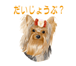 I love! Yorkshire terrier  Vol.1 sticker #9908495