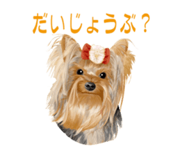I love! Yorkshire terrier Vol.1 sticker #9908495