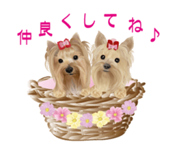 I love! Yorkshire terrier  Vol.1 sticker #9908497