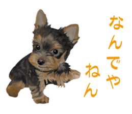 I love! Yorkshire terrier  Vol.1 sticker #9908500