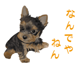 I love! Yorkshire terrier Vol.1 sticker #9908500