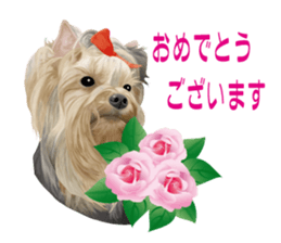 I love! Yorkshire terrier  Vol.1 sticker #9908503