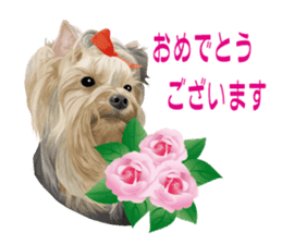 I love! Yorkshire terrier Vol.1 sticker #9908503