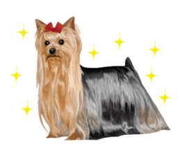 I love! Yorkshire terrier  Vol.1 sticker #9908504