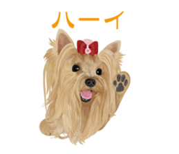 I love! Yorkshire terrier  Vol.1 sticker #9908506