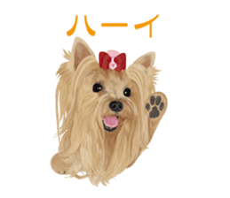 I love! Yorkshire terrier Vol.1 sticker #9908506