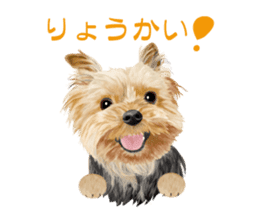 I love! Yorkshire terrier Vol.1 sticker #9908507