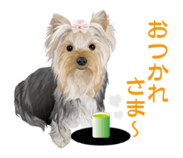 I love! Yorkshire terrier  Vol.1 sticker #9908508