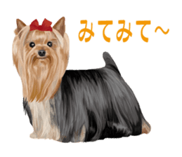 I love! Yorkshire terrier Vol.1 sticker #9908509