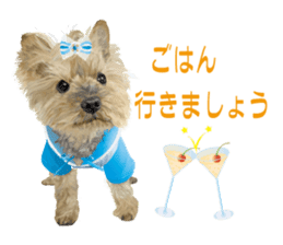 I love! Yorkshire terrier Vol.1 sticker #9908510