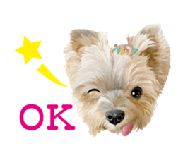 I love! Yorkshire terrier  Vol.1 sticker #9908512
