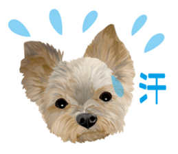 I love! Yorkshire terrier  Vol.1 sticker #9908513