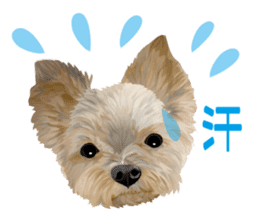 I love! Yorkshire terrier Vol.1 sticker #9908513