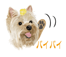I love! Yorkshire terrier Vol.1 sticker #9908514