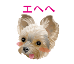 I love! Yorkshire terrier  Vol.1 sticker #9908517