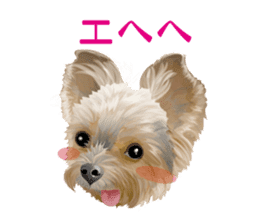 I love! Yorkshire terrier Vol.1 sticker #9908517