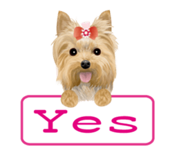 I love! Yorkshire terrier  Vol.1 sticker #9908518