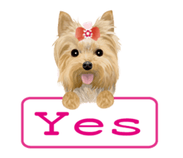 I love! Yorkshire terrier Vol.1 sticker #9908518