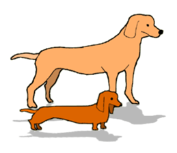 Funny Dachshund sticker #9909400
