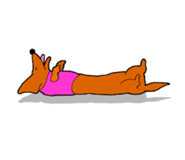 Funny Dachshund sticker #9909405