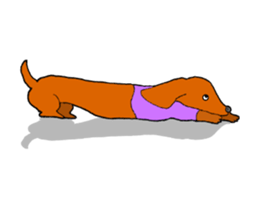 Funny Dachshund sticker #9909406