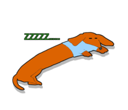 Funny Dachshund sticker #9909429