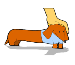 Funny Dachshund sticker #9909430