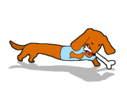 Funny Dachshund sticker #9909431