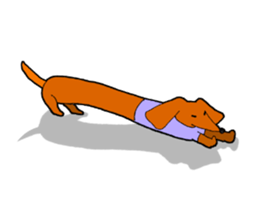 Funny Dachshund sticker #9909435